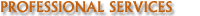 Professional Services